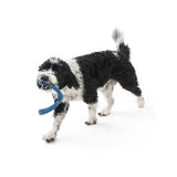 Snorkl Seaflex Dog Fetch Toy