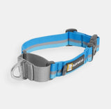 Web Reaction™ Martingale Dog Collar With Buckle